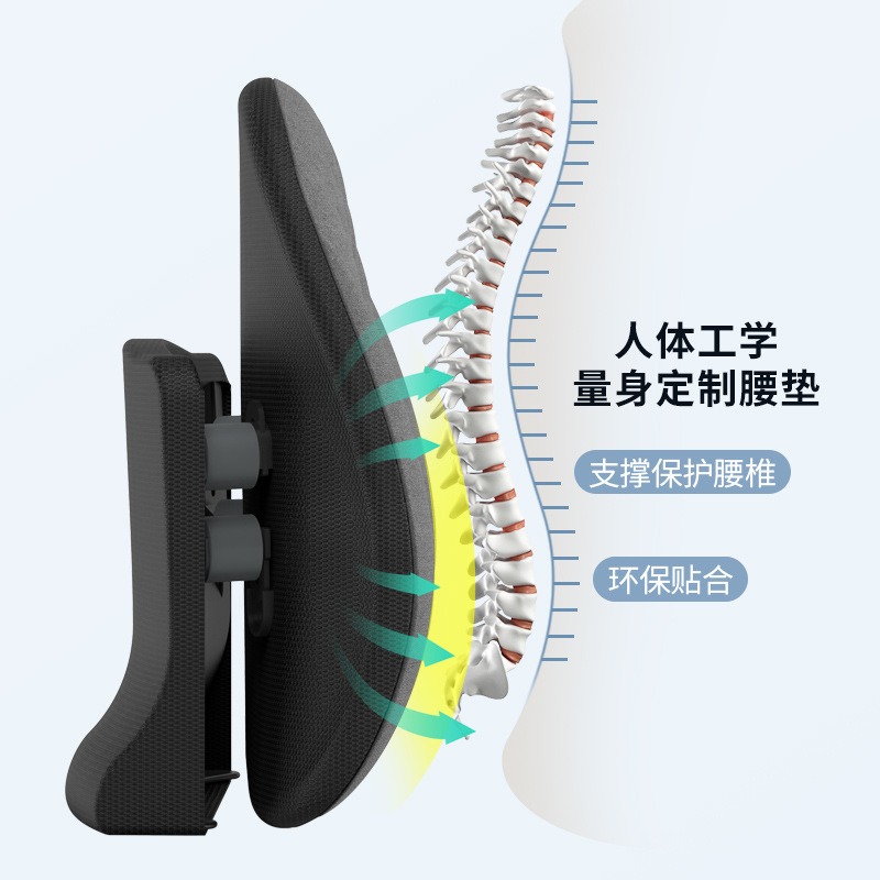 Bantalan pinggang ergonomis, b - Office Chair Cushion ulasan dan harga